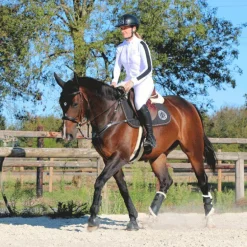 Jump'In - Collier de chasse 5 points + martingale One Noir