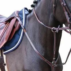 Jump'In - Collier de chasse et fourche de martingale Premium Clincher havane