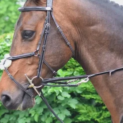 Jump'in - Enrênement Howlett Week