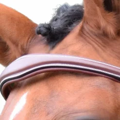 Jump'In - Frontal Bruxelles collection One noisette