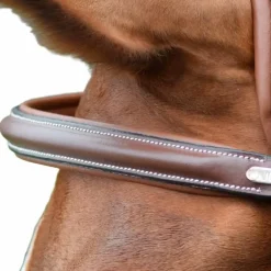 Jump'In - Frontal London collection One noisette