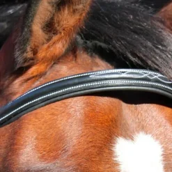 Jump'In - Frontal Paris collection One noir