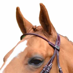 Jump'In - Frontal rond Monday acajou