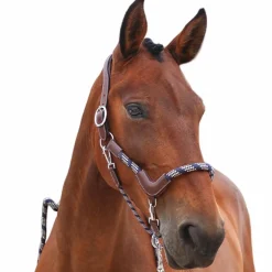 Jump'In - Licol cheval One Travel noisette