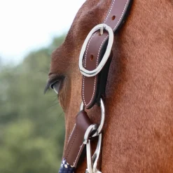 Jump'In - Licol cheval One Travel noisette