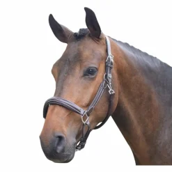 Jump'In - Licol cheval Wednesday havane