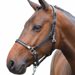 Jump'In - Licol cheval Week de pansage Noir