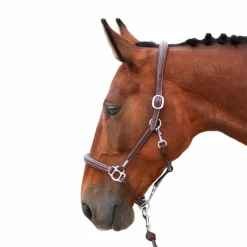 Jump'In - Licol de pansage One Noisette