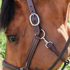 Jump'In - Licol Fancy One Noisette