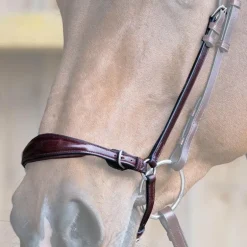 Jump'In - Muserolle allemande Evolution noisette