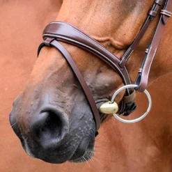 Jump'In - Muserolle Bruxelles collection One noisette