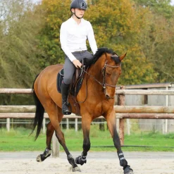 Jump'In - Pantalon d'équitation homme Super X gris