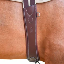 Jump'In - Sangle élastique Safety One noisette