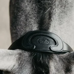 Jump'In - Têtière + rênes Evolution noir