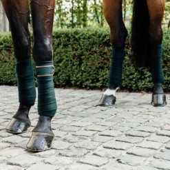 Kentucky Horsewear - Bandes de polo vert (x4)