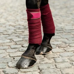 Kentucky Horsewear - Bandes de polo Bordeaux (x4)