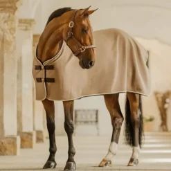 Kentucky Horsewear - Chemise séchante Show Vegan Wool beige