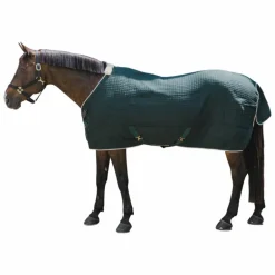 Kentucky Horsewear - Chemise séchante Protherm vert foncé