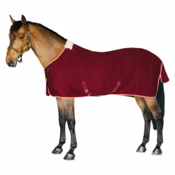 Kentucky Horsewear - Chemise séchante Protherm bordeaux