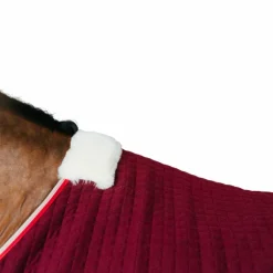 Kentucky Horsewear - Chemise séchante Protherm bordeaux