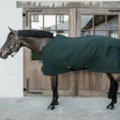 Kentucky Horsewear - Chemise séchante 4D spacer vert sapin