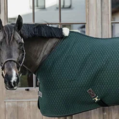 Kentucky Horsewear - Chemise séchante 4D spacer vert sapin