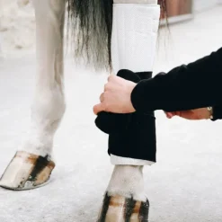 Kentucky Horsewear - Cotons de travail pad absorb noir/ blanc (x4)