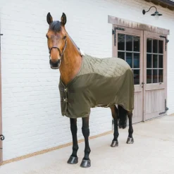 Kentucky Horsewear - Couverture polaire Transport Combo Cooler Fleece vert sapin