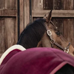 Kentucky Horsewear - Couverture séchante Show heavy bordeaux