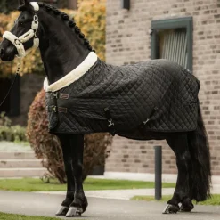 Kentucky Horsewear - Couverture de présentation noir 160g