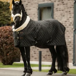 Kentucky Horsewear - Couverture de présentation noir 160g