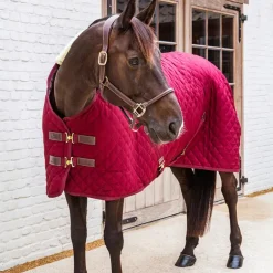 Kentucky Horsewear - Couverture de box bordeaux 400g