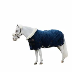 Kentucky Horsewear - Couverture de présentation velvet bleu marine pour minis 160g