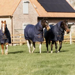 Kentucky Horsewear - Couverture d'extérieur Turnout all weather marine 0g