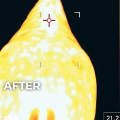 Kentucky Horsewear - Couverture Magnetic Recuptex pour Minis