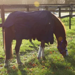 Kentucky Horsewear - Couverture d’extérieur pour minis marine 0g
