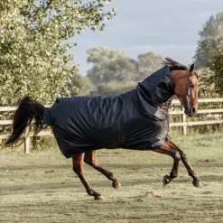 Kentucky Horsewear - Couverture d'exterieur marine 300g