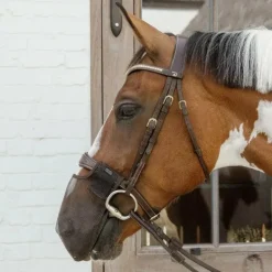 Kentucky Horsewear - Filet de nez anti-mouches marron