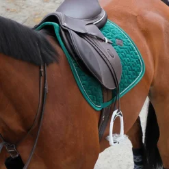 Kentucky Horsewear - Fourreau de collier de chasse noir