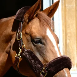 Kentucky Horsewear - Fourreaux de licol mouton marron 4 pcs