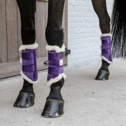 Kentucky Horsewear - Guêtres fermées cuir velvet contrast violet royal x2