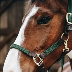 Kentucky Horsewear - Licol cheval nylon tressé vert olive