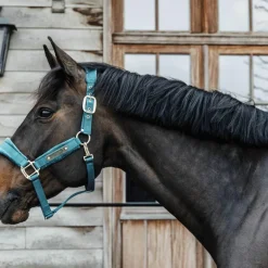 Kentucky Horsewear - Licol Velvet émeraude