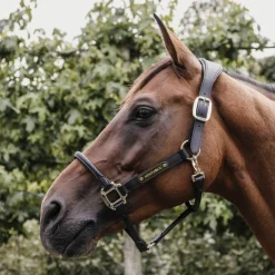 Kentucky Horsewear - Licol anatomique en cuir vegan noir