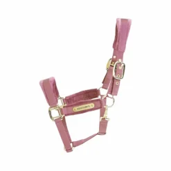 Kentucky Horsewear - Licol Velvet vieux rose