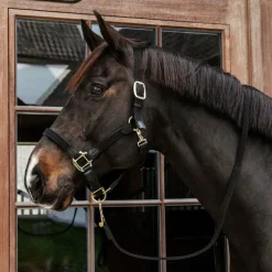 Kentucky Horsewear - Licol cheval nylon tressé noir