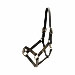 Kentucky Horsewear - Licol en cuir Wellington brun