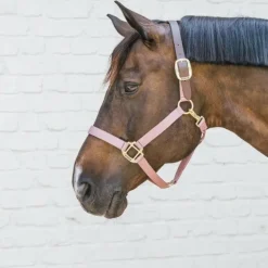 Kentucky Horsewear - Licol nylon Breakaway vieux rose