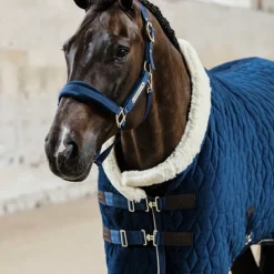 Kentucky Horsewear - Licol Velvet marine