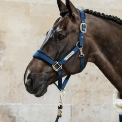 Kentucky Horsewear - Licol Velvet marine